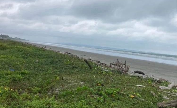 Terreno en venta playa de Muisne Playa Muisne Venta Terreno